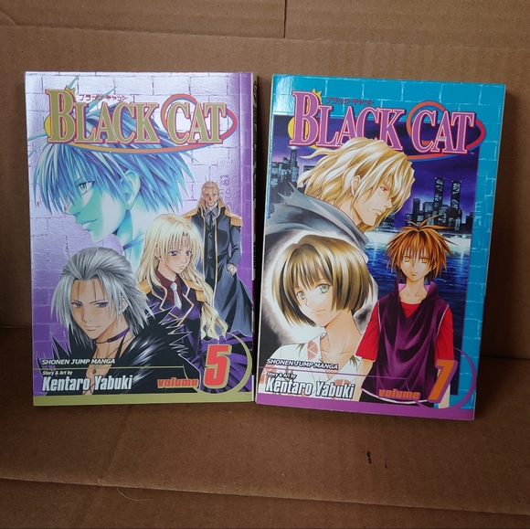 Manga: Black cat vol 1, 3-5, and 7 - Picture 3 of 3